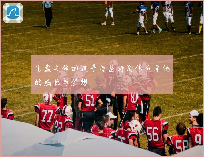 飞盘之路的追寻与坚持周伟分享他的成长与梦想