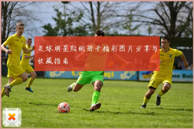 足球明星贴纸册子精彩图片分享与收藏指南