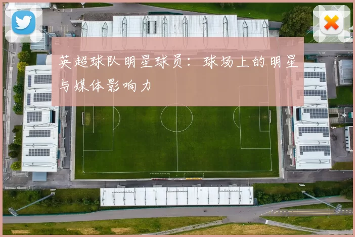 英超球队明星球员：球场上的明星与媒体影响力