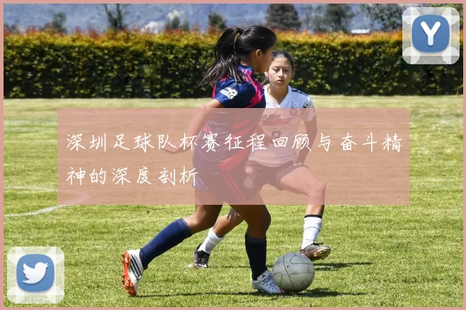 深圳足球队杯赛征程回顾与奋斗精神的深度剖析