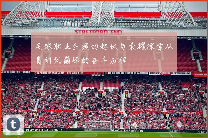 足球职业生涯的起伏与荣耀探索从青训到巅峰的奋斗历程