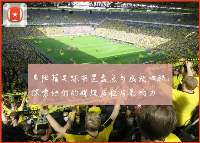 阜阳籍足球明星盘点与成就回顾，探索他们的辉煌历程与影响力