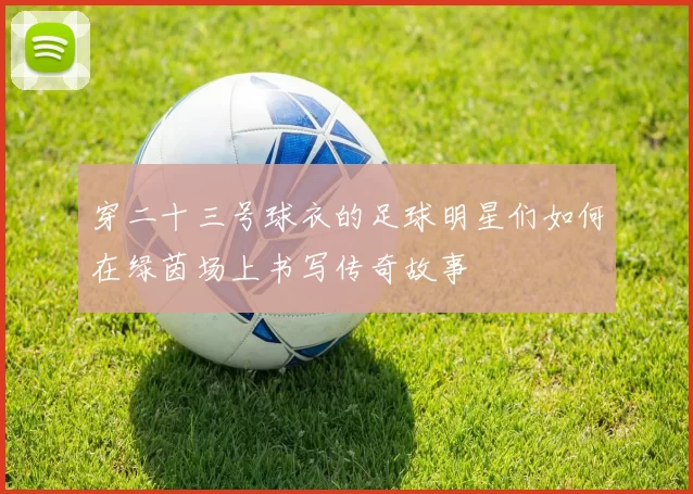 穿二十三号球衣的足球明星们如何在绿茵场上书写传奇故事