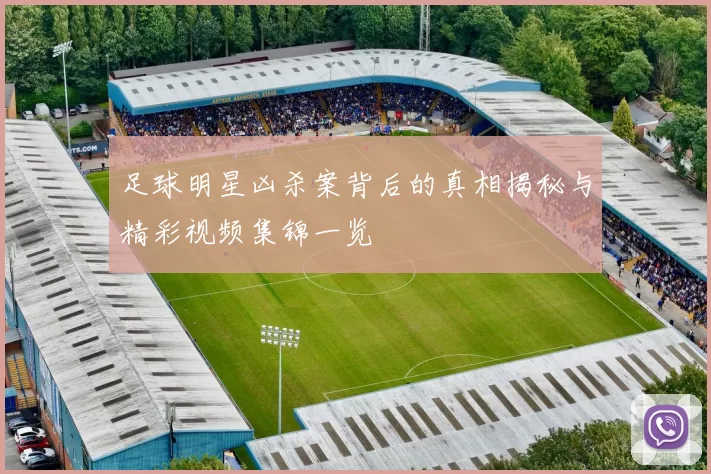足球明星凶杀案背后的真相揭秘与精彩视频集锦一览