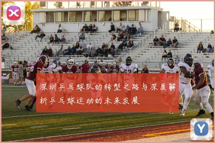 深圳乒乓球队的转型之路与深度解析乒乓球运动的未来发展