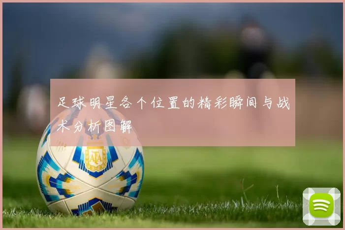 足球明星各个位置的精彩瞬间与战术分析图解