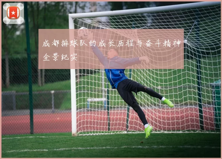 成都排球队的成长历程与奋斗精神全景纪实