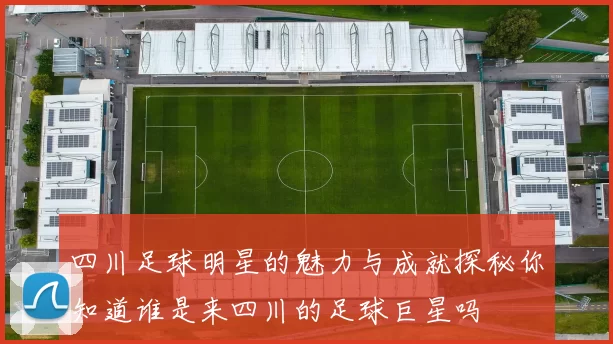 四川足球明星的魅力与成就探秘你知道谁是来四川的足球巨星吗