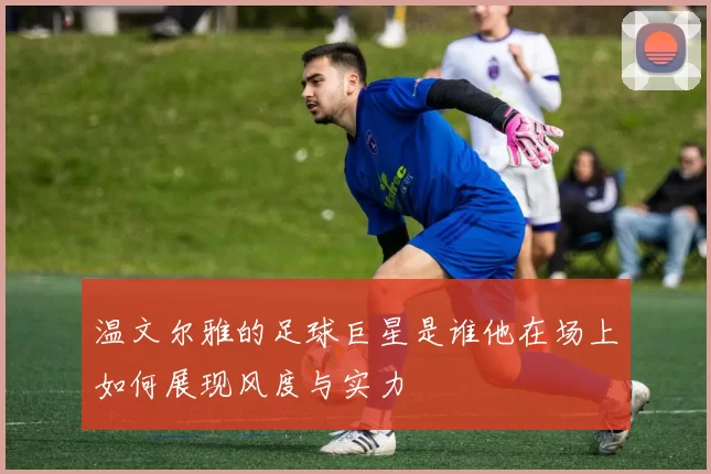 温文尔雅的足球巨星是谁他在场上如何展现风度与实力