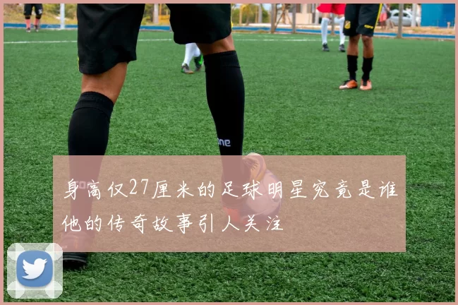 身高仅27厘米的足球明星究竟是谁他的传奇故事引人关注