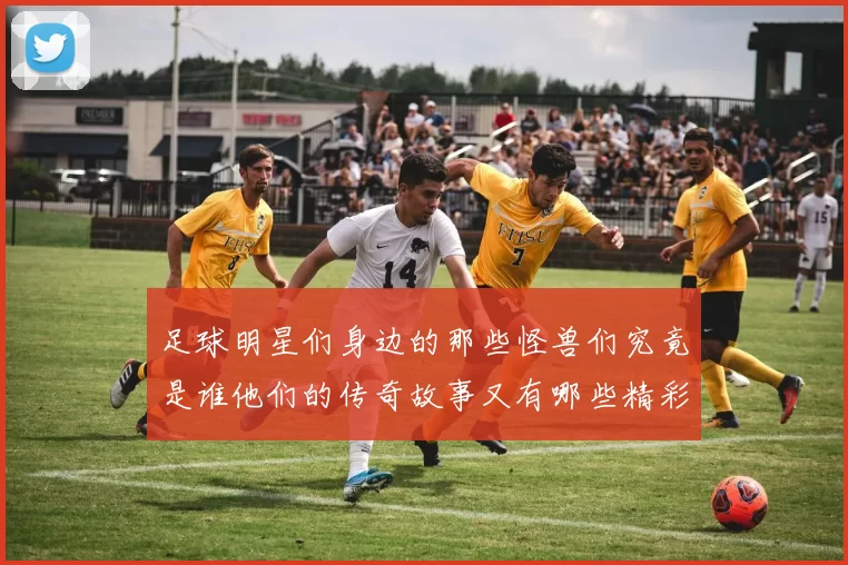 足球明星们身边的那些怪兽们究竟是谁他们的传奇故事又有哪些精彩瞬间