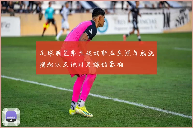 足球明星弗兰妮的职业生涯与成就揭秘以及他对足球的影响