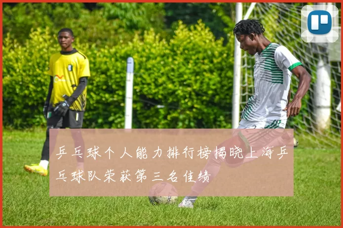 乒乓球个人能力排行榜揭晓上海乒乓球队荣获第三名佳绩