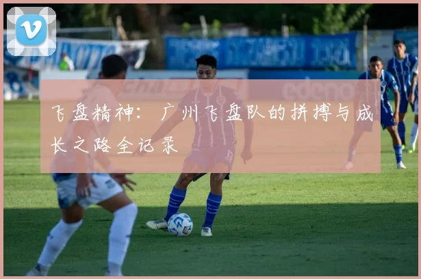 飞盘精神：广州飞盘队的拼搏与成长之路全记录