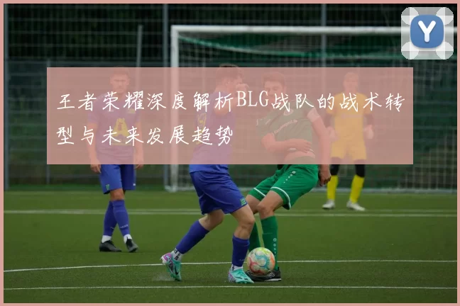 王者荣耀深度解析BLG战队的战术转型与未来发展趋势