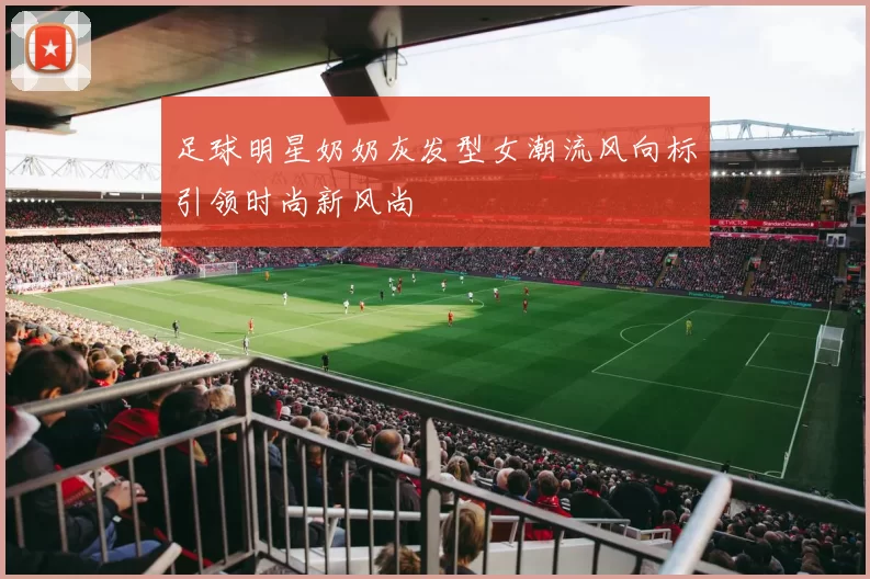 足球明星奶奶灰发型女潮流风向标引领时尚新风尚