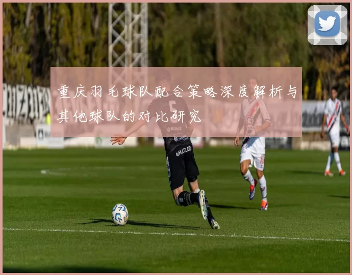 重庆羽毛球队配合策略深度解析与其他球队的对比研究