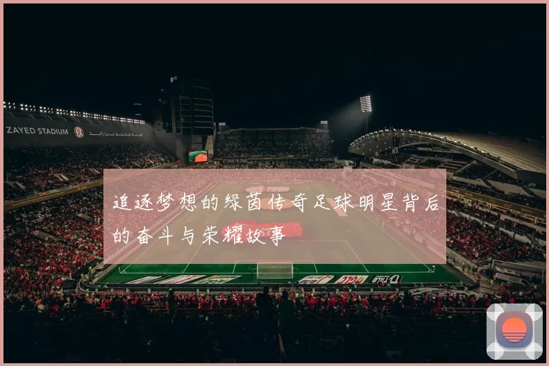 追逐梦想的绿茵传奇足球明星背后的奋斗与荣耀故事