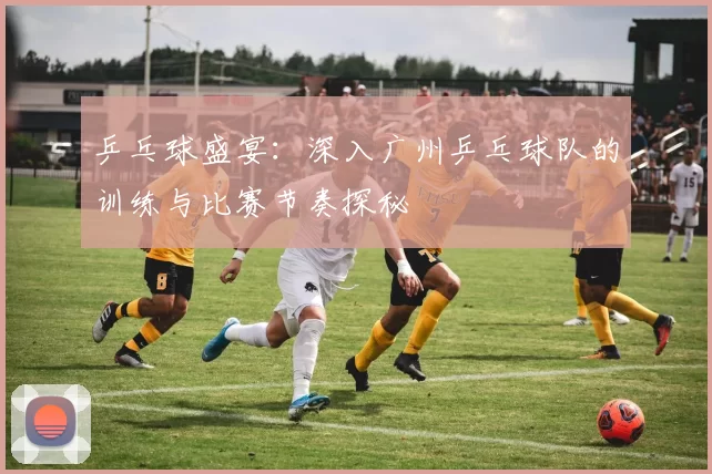 乒乓球盛宴：深入广州乒乓球队的训练与比赛节奏探秘