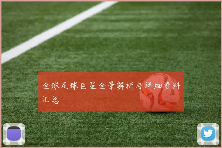 全球足球巨星全景解析与详细资料汇总