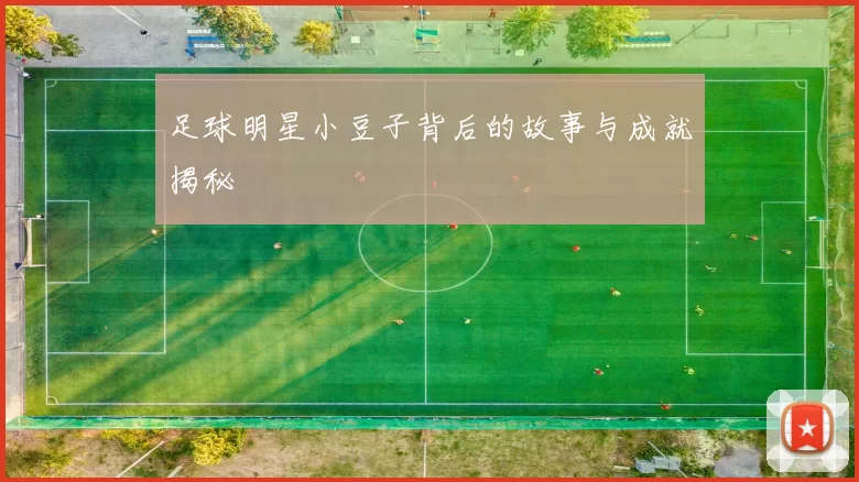 足球明星小豆子背后的故事与成就揭秘