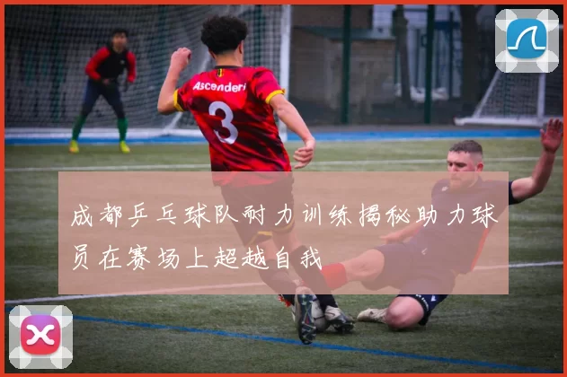 成都乒乓球队耐力训练揭秘助力球员在赛场上超越自我