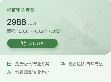 2988元/月绿植租赁套餐